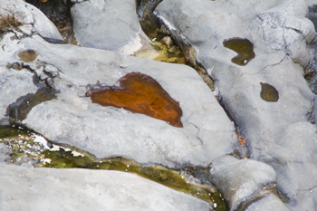 Heart Shaped Rock